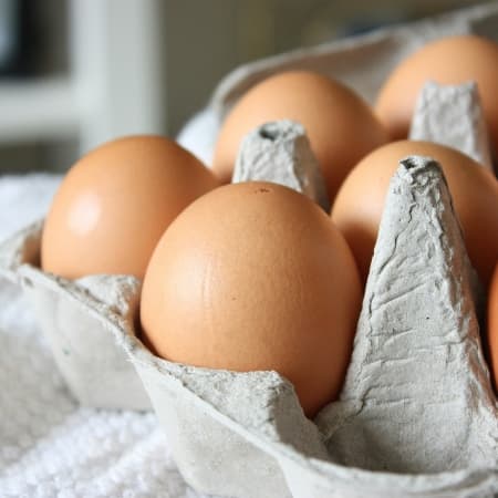 Rotten Egg Smell Problem Image